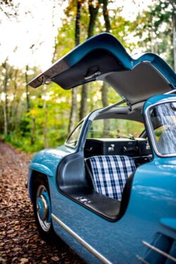 De hemelbekleding is uniek bij een auto met een dergelijke vleugeldeur: eigenlijk is er geen hemel, maar twee stroken langs de voor- en achterruit, de bekleding van de deur en de kolom in het midden waar de zware deuren aan hangen.
